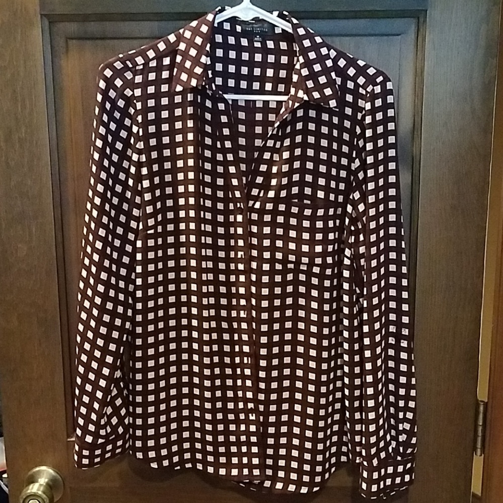 The Limited button up blouse.